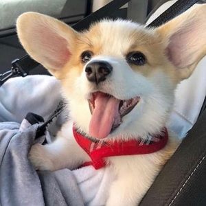 Meet your Posher, Pia